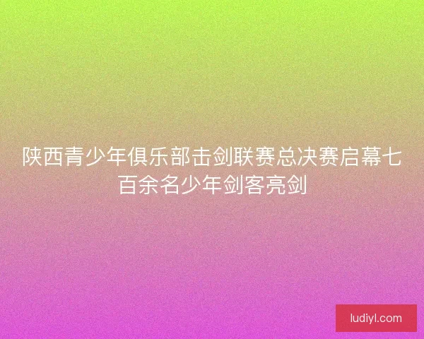 陕西青少年俱乐部击剑联赛总决赛启幕七百余名少年剑客亮剑